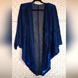Vintage Sheer Metallic Batwing Sweater Iridescent Evening Blue Glitter